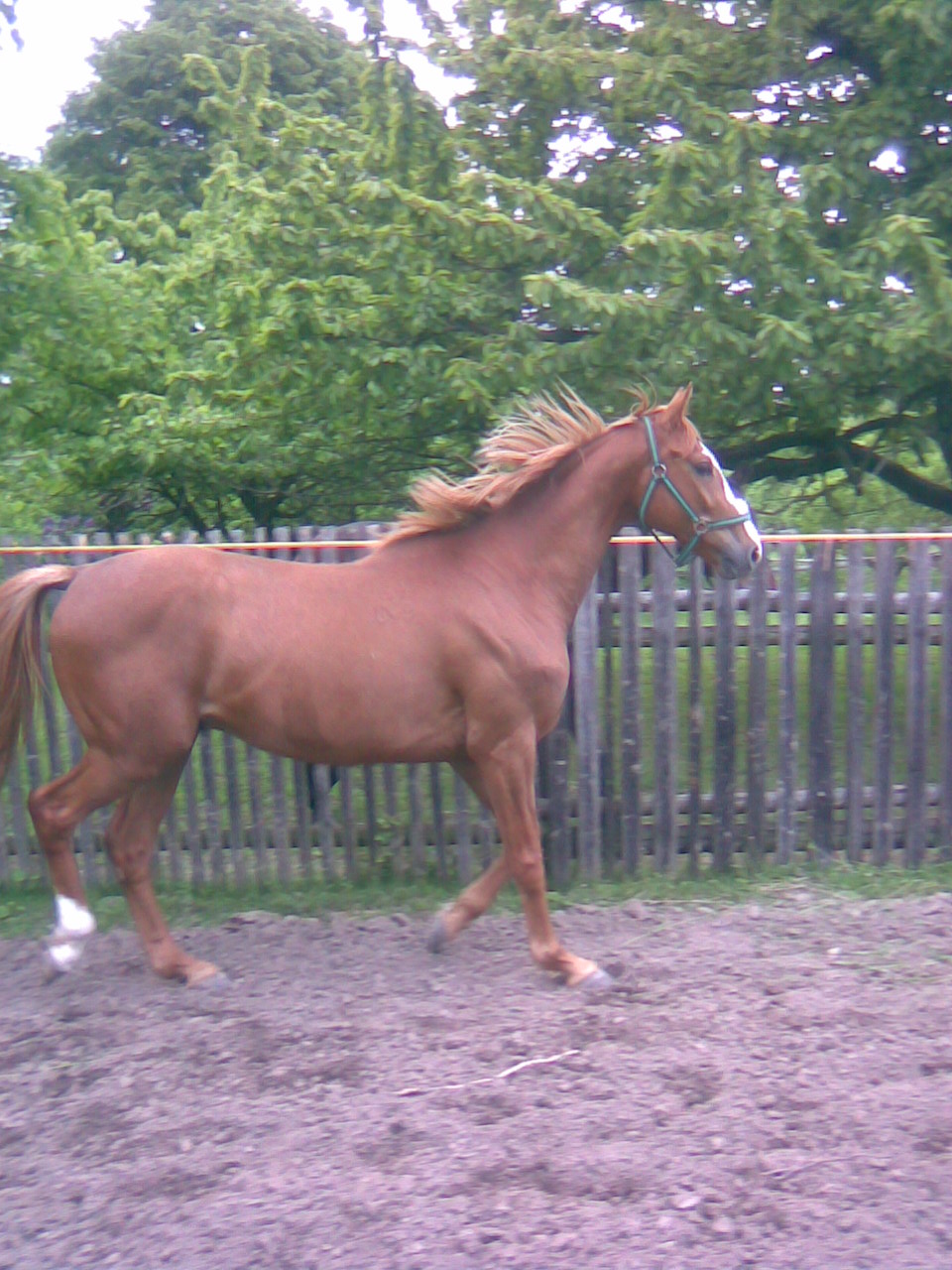 Obraz379.jpg