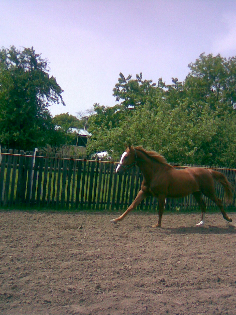 Obraz407.jpg