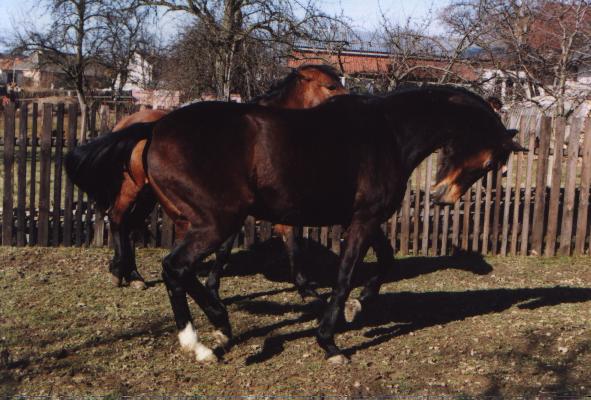 Snímekfotka 111.jpg